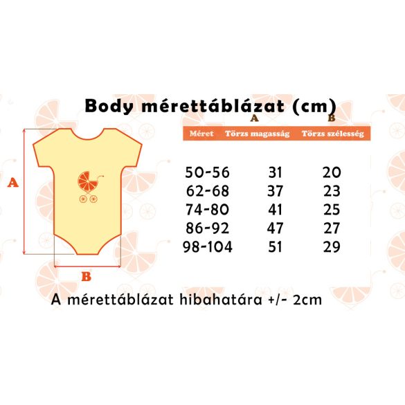 Baby body, egy éves body, szülinapi body adatokkal