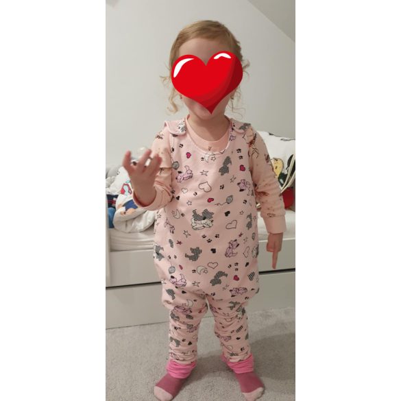 Tipegőzsák, tipegő hálózsák, hálórugi, lábas hálózsák kamáslival - Cicás KÉSZLETRŐL